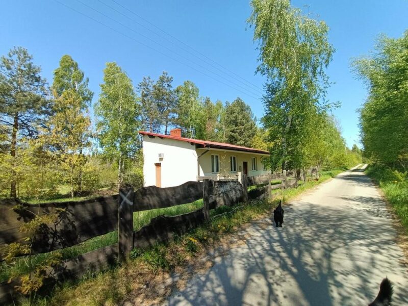 Dom na działce 4883 m2 z WZ w Gródku. - POLICZNA, MAZOWIECKIE na SPRZEDAŻ
