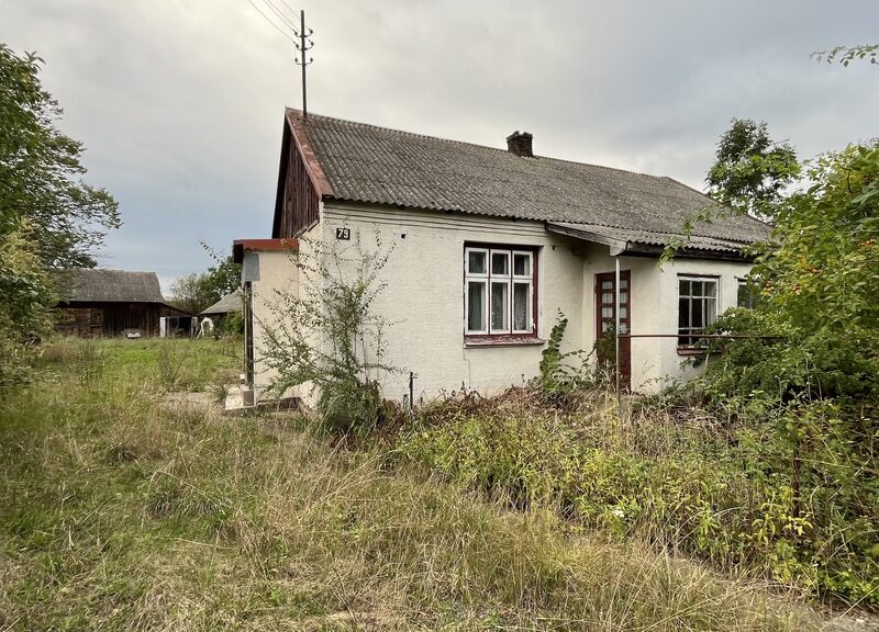 Dom na działce 8771 m2 przy DK7 blisko Radomia. - DOBRUT, MAZOWIECKIE na SPRZEDAŻ