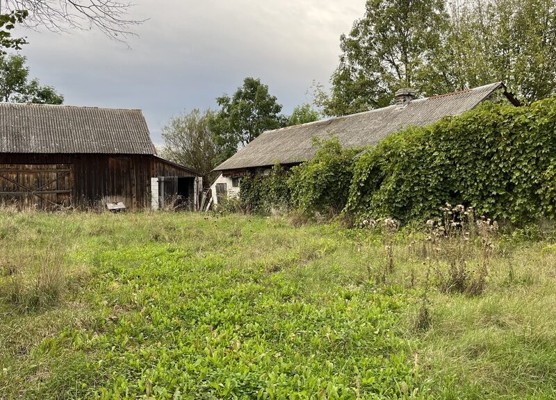 Dom na działce 8771 m2 przy DK7 blisko Radomia. - OROŃSKO, MAZOWIECKIE na SPRZEDAŻ