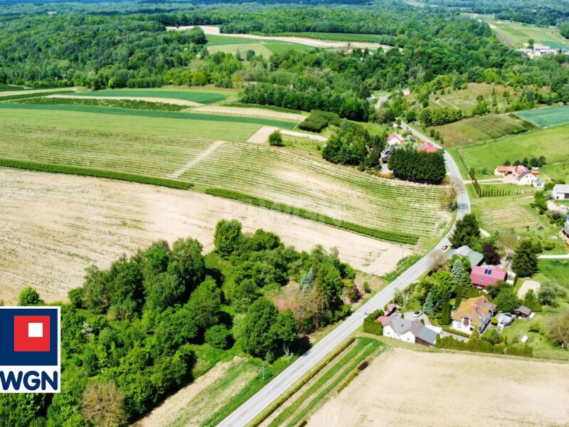 Dom na sprzedaż - Celejów
