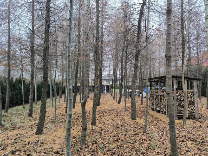 Dom parterowy z podpiwniczeniem.