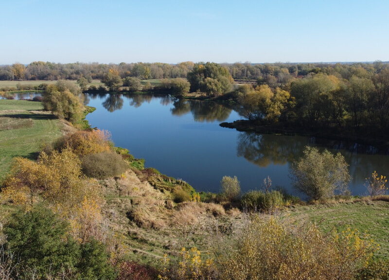 Domek na działce w Solcu n/Wisłą pow. lipski.