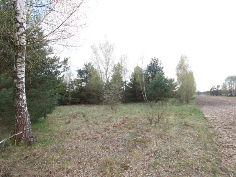 Duża działka 0,6 ha rolno budowlana Wola Lisowska - LUBARTÓW, LUBELSKIE na SPRZEDAŻ