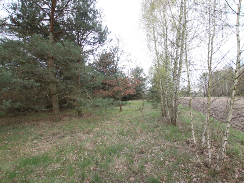 DZIAŁKA na SPRZEDAŻ, WOLA LISOWSKA, LUBARTÓW