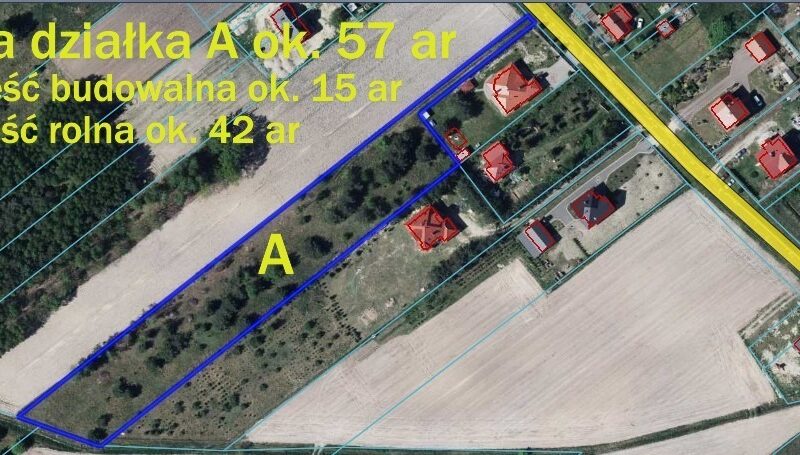 Duża działka 0,6 ha rolno budowlana Wola Lisowska - LUBARTÓW, LUBELSKIE na SPRZEDAŻ