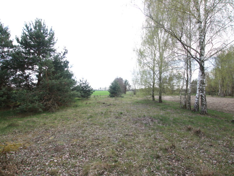 Duża działka 0,6 ha rolno budowlana Wola Lisowska