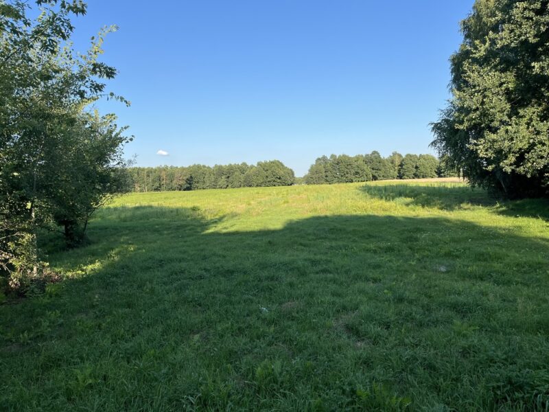 Duża działka 2,9 ha w Jabłonowie gm. Policzna. - POLICZNA, MAZOWIECKIE na SPRZEDAŻ