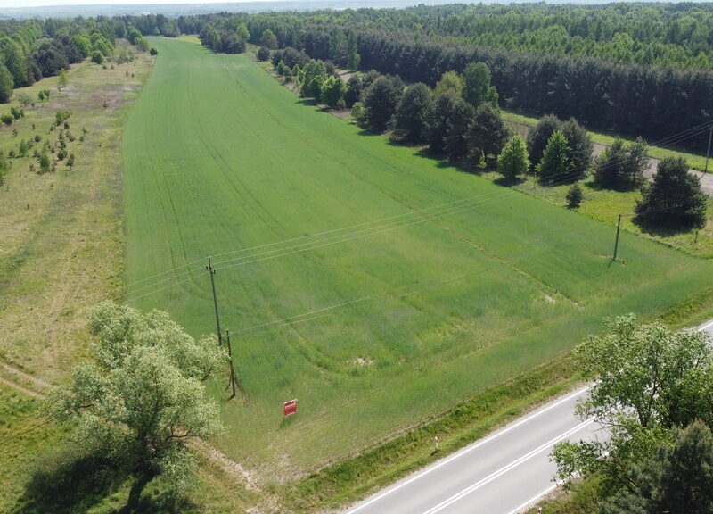 Duża działka inwestycyjna blisko Wisły w Kłudziu.