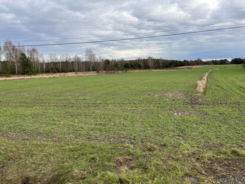 Duża działka inwestycyjna blisko Wisły w Kłudziu. - KŁUDZIE, MAZOWIECKIE na SPRZEDAŻ