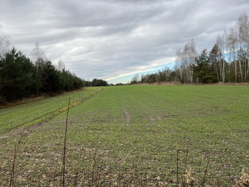 DZIAŁKA na SPRZEDAŻ, KŁUDZIE, SOLEC NAD WISŁĄ
