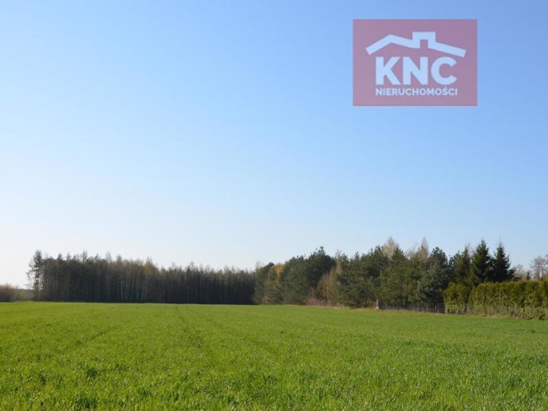 Duża działka w Lublinie, Głusk - LUBLIN, LUBELSKIE na SPRZEDAŻ