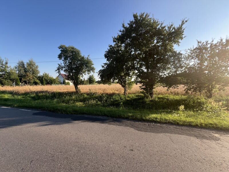 Dwie działki rolne z WZ w Helenowie gm. Policzna. - POLICZNA, MAZOWIECKIE na SPRZEDAŻ