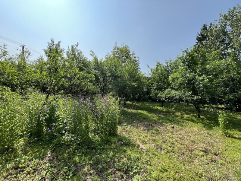 Działka 0,21 ha w Kaliszanach Kolonii gm. Józefów.