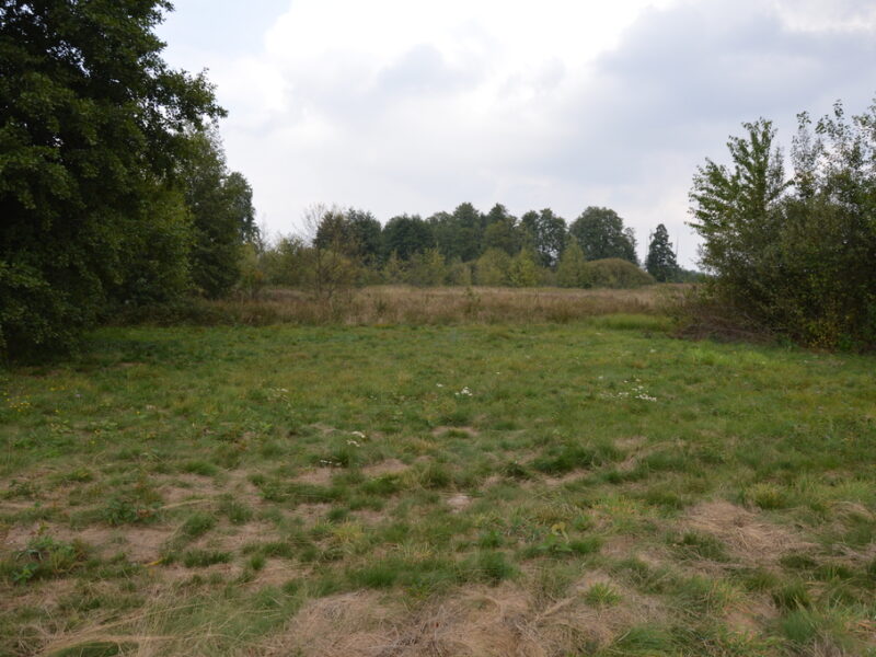 Działka 1.77 ha w Brzeźnicy Leśnej pow. Lubartów. - NIEDŹWIADA, LUBELSKIE na SPRZEDAŻ