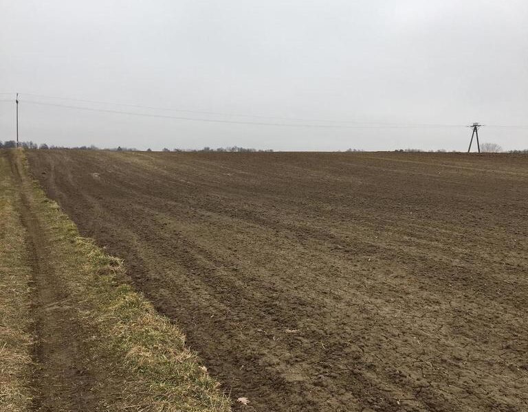Działka 1.84ha Tomaszowice- Kolonia