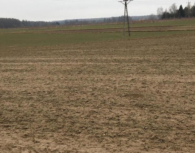 Działka 1.84ha Tomaszowice- Kolonia