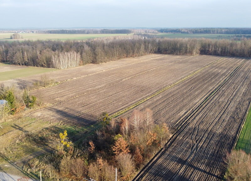 Działka o pow. 1182 m2 uzbrojona w wodę i prąd z dostępem do drogi publicznej asfaltowej oraz kilkanaście dodatkowych działek połączonych drogą wewnętrzną z ust- POLICZNA, MAZOWIECKIE na SPRZEDAŻ