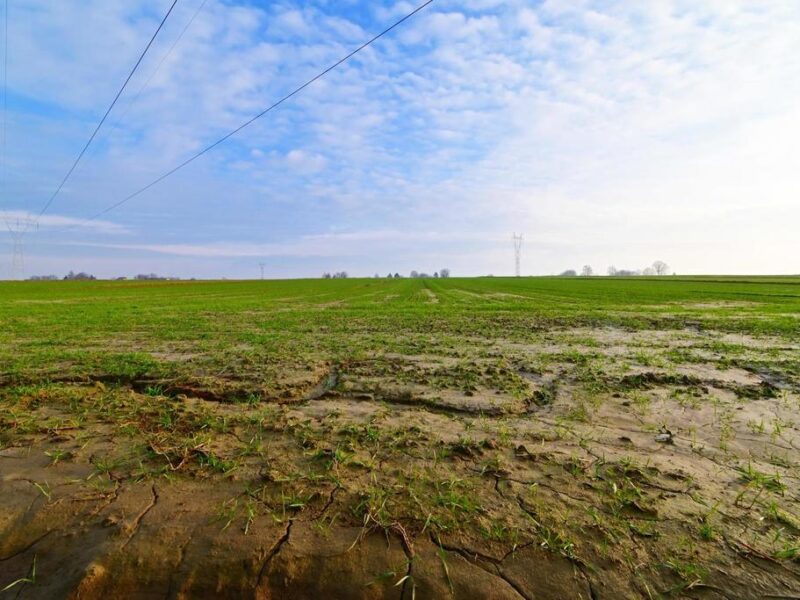 Zemborzyce Podleśne - działka budowlana o powierzchni 28ar.~~Na sprzedaż działka 28 ar w doskonałej lokalizacji, blisko Zalewu Zemborzyckiego i Starego Gaju. Dz- KONOPNICA, LUBELSKIE na SPRZEDAŻ
