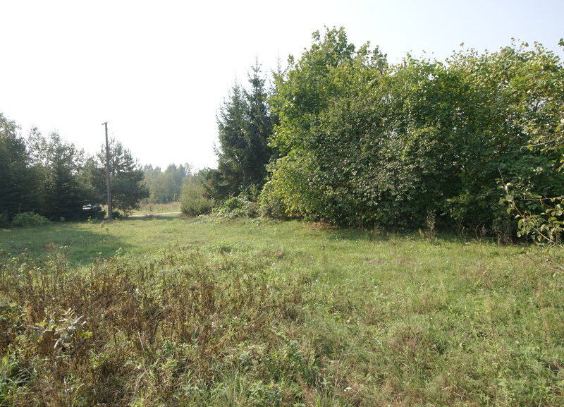 Działka 16 ar w miejsc. Gołąb pow. Lubartowski - MICHÓW, LUBELSKIE na SPRZEDAŻ