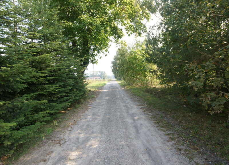 DZIAŁKA na SPRZEDAŻ, GOŁĄB, MICHÓW
