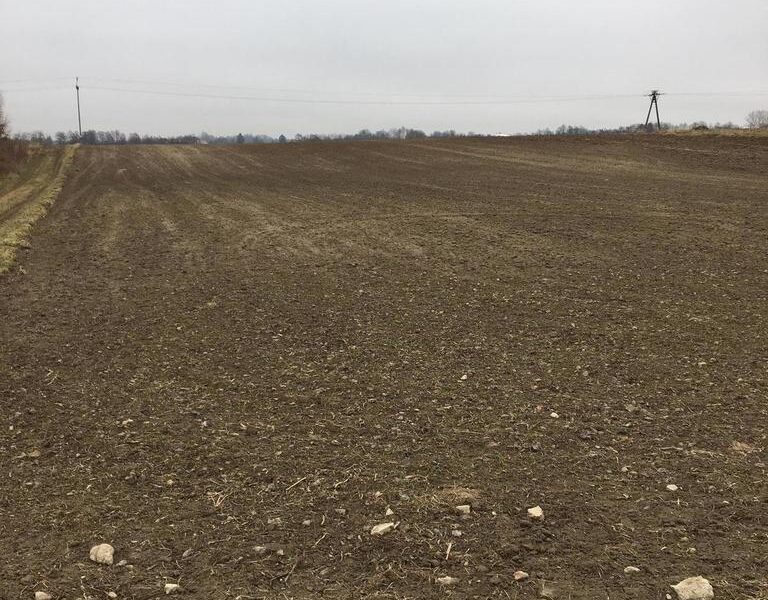 Działka w Tomaszowice- kolonia.~~Cechy fizyczne działki:~- powierzchnia: 3000m2~- wymiary: ok 24szer. x 152 m dł.~- kształt: prostokąt~- ukształtowanie: teren z- JASTKÓW, LUBELSKIE na SPRZEDAŻ