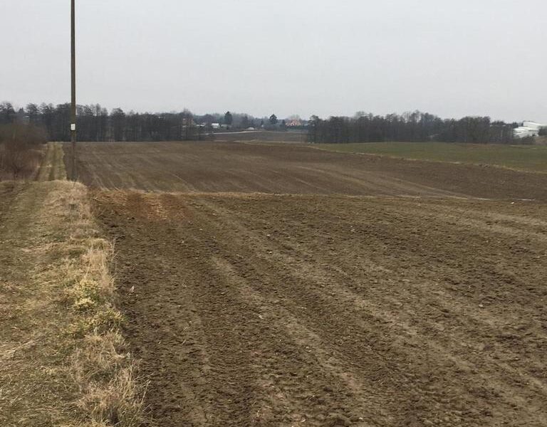 Działka 3000m2 Tomaszowice- Kolonia - JASTKÓW, LUBELSKIE na SPRZEDAŻ