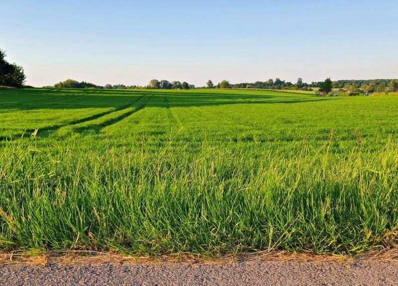 Działka 30ar nieopodal Lublina - Miłocin - WOJCIECHÓW, LUBELSKIE na SPRZEDAŻ