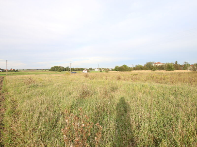DZIAŁKA na SPRZEDAŻ, NOWODWÓR, LUBARTÓW