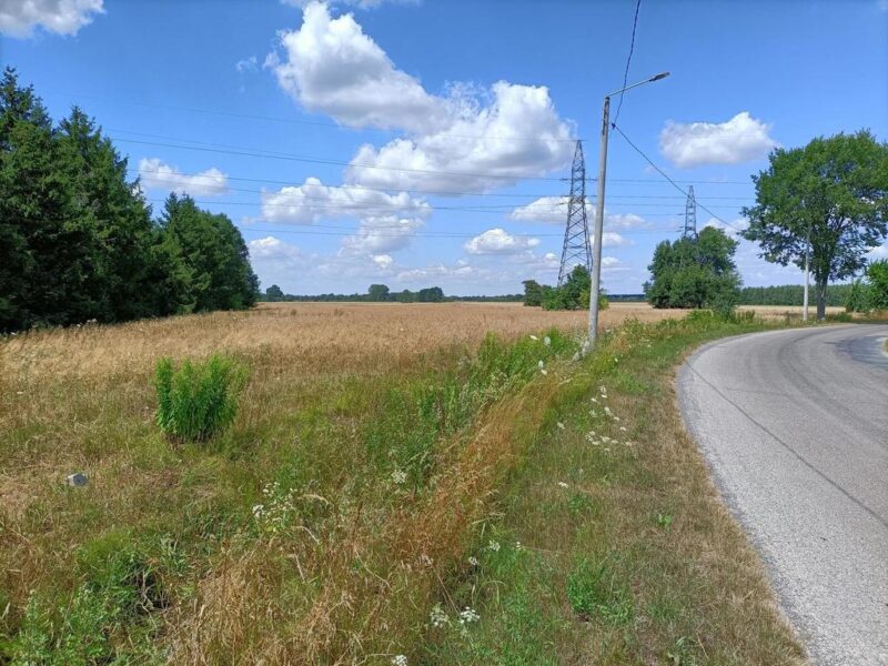 Działka 4 ha o różnym przeznaczeniu w Zwoleniu. - ZWOLEŃ, MAZOWIECKIE na SPRZEDAŻ