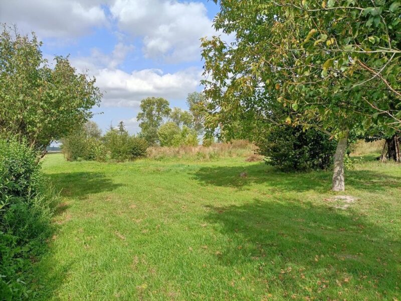 DZIAŁKA na SPRZEDAŻ, LEOKADIÓW, PUŁAWY