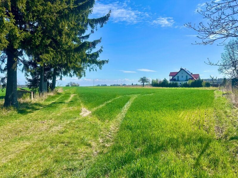 Szukasz gruntu, który będzie bezpieczną lokatą kapitału? Ta nieruchomość to nie tylko idealne miejsce pod dom, ale także gotowy projekt inwestycyjny z możliwośc - DZIAŁKA na SPRZEDAŻ , MAJDAN MĘTOWSKI