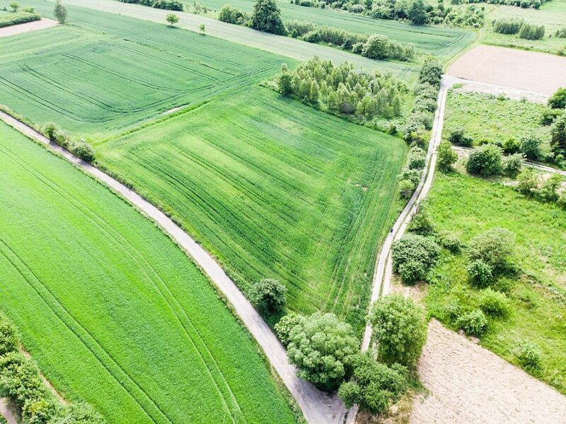 Działka 5 896 mkw na Woli Sławińskiej. - ogłoszenia