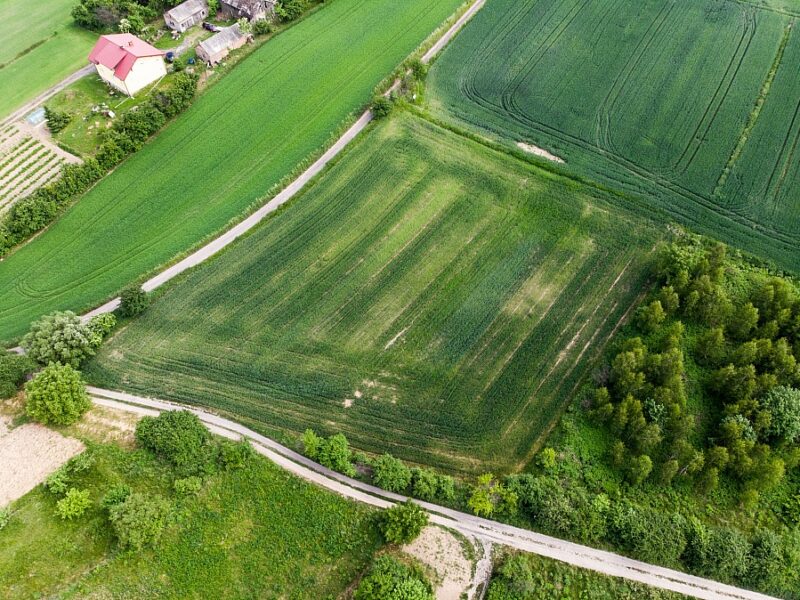 Działka 5 896 mkw na Woli Sławińskiej.