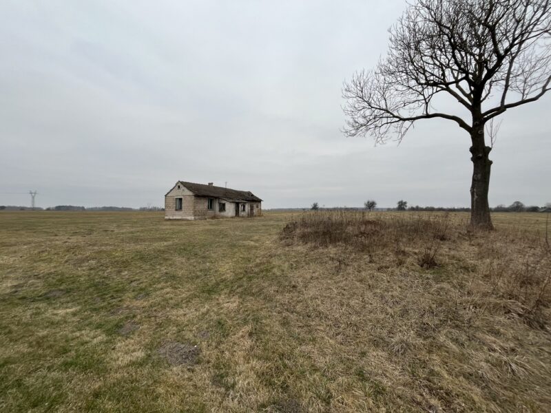 Działka 6462 z widokiem na muzeum w Czarnolesie - CZARNOLAS, MAZOWIECKIE na SPRZEDAŻ
