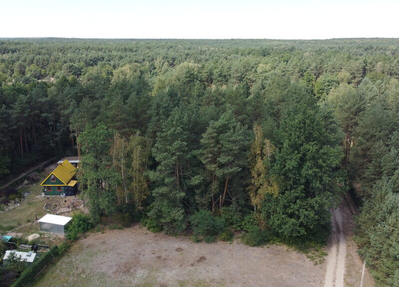 Działka 800 m2 w Woli Chodkowskiej Warszawa 85 km.