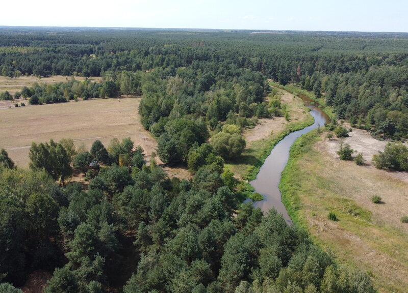 Działka 800 m2 w Woli Chodkowskiej Warszawa 85 km.