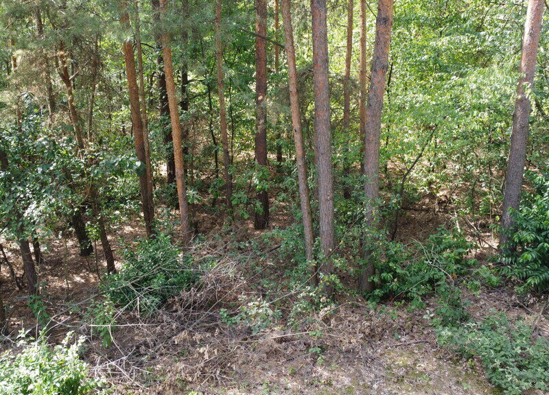 Działka 800 m2 w Woli Chodkowskiej Warszawa 85 km. - KOZIENICE, MAZOWIECKIE na SPRZEDAŻ