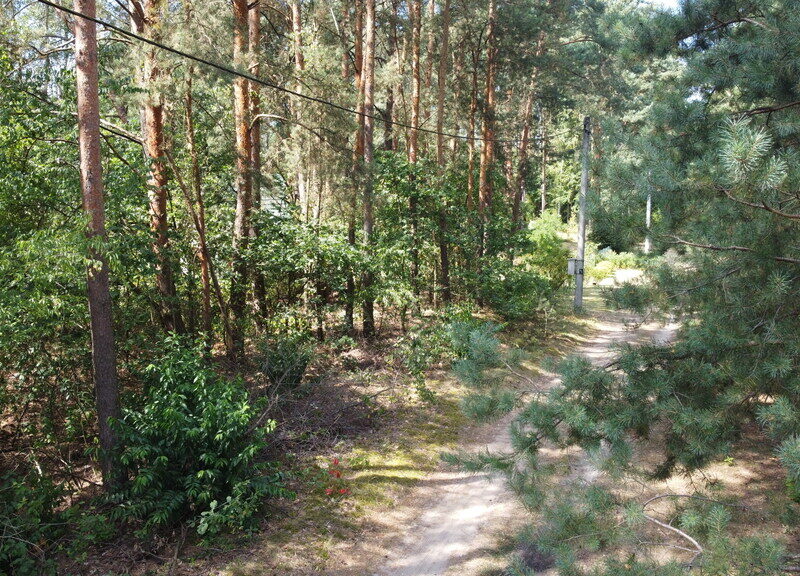 Działka 800 m2 w Woli Chodkowskiej Warszawa 85 km.