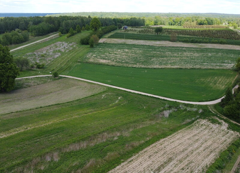 Działka 8713 m2 (piękny widok) w Kazimierzy Dolnym