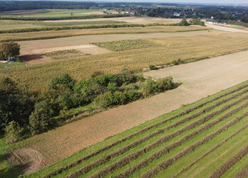 Działka, Motycz, 8.5ar, budownictwo jednorodzinne