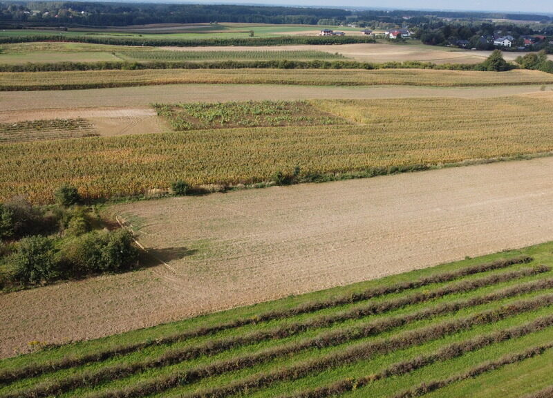 Działka, Motycz, 8.5ar, budownictwo jednorodzinne