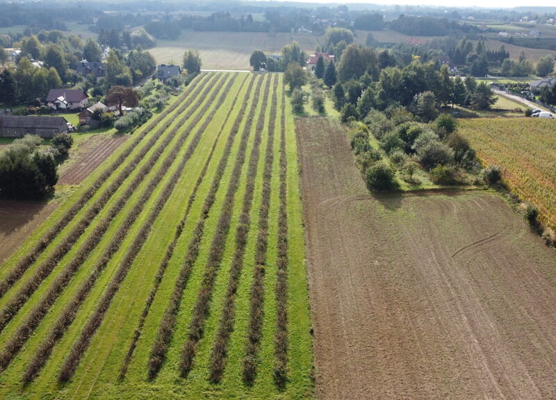 Działka, Motycz, 8.5ar, budownictwo jednorodzinne - KONOPNICA, LUBELSKIE na SPRZEDAŻ