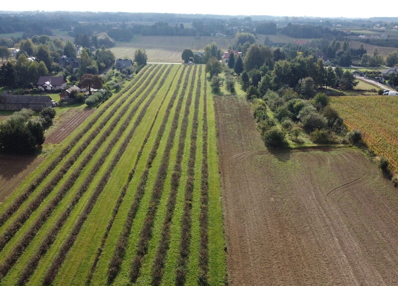 Działka, Motycz, 8.5ar, budownictwo jednorodzinne