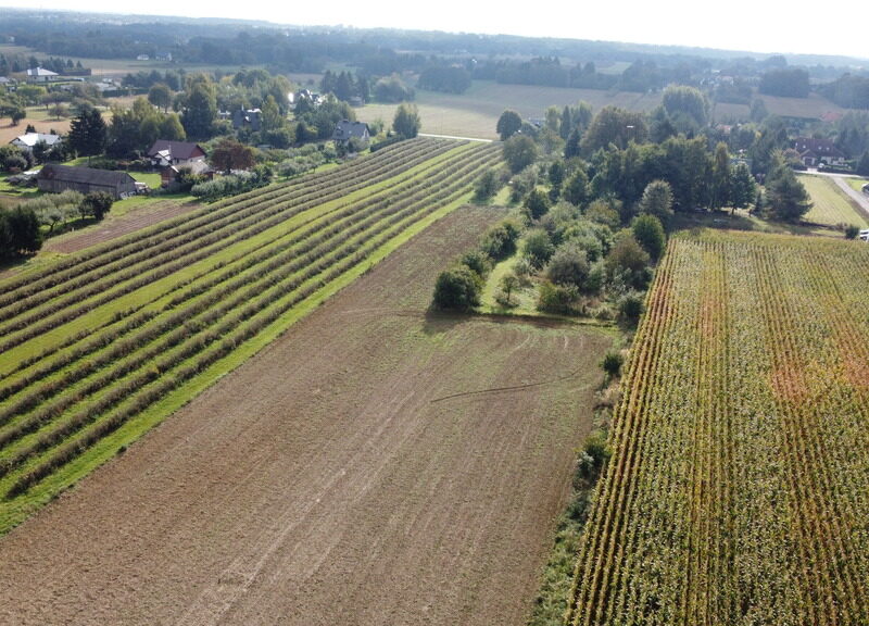 DZIAŁKA na SPRZEDAŻ, MOTYCZ, KONOPNICA