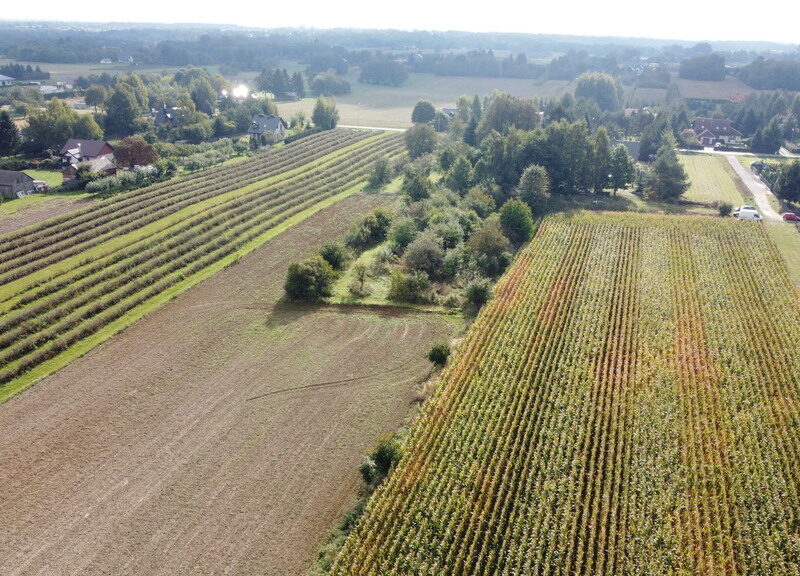 Działka, Motycz, 8.5ar, budownictwo jednorodzinne