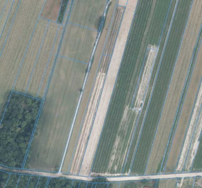 Działka RM/RP1,14ha-Bartłomiejowice, gm. Wąwolnica - WĄWOLNICA, LUBELSKIE na SPRZEDAŻ