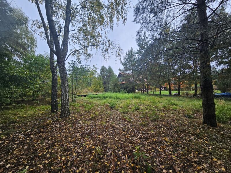 Działka, Rogóźno, 9 ar, media, Jezioro Rogóźno ~~Działka:~- 2 linia zabudowy~- 900 m2 (w tym 100 metrów własnej drogi dojazdowej)~- wymiary 34m szerokości x 23m- LUDWIN, LUBELSKIE na SPRZEDAŻ