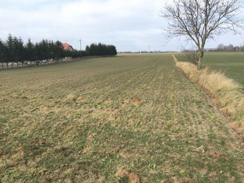 Działka bud-rolna w Rudce Kozłowieckiej. - ogłoszenia