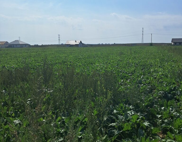 Gm. Puchaczów, Turowola - kolonia.~1600m2 - uzbrojona działka budowlana.~~Do sprzedania pięknie zlokalizowana, wśród nowo wybudowanych domów działka budowlana.~- PUCHACZÓW, LUBELSKIE na SPRZEDAŻ