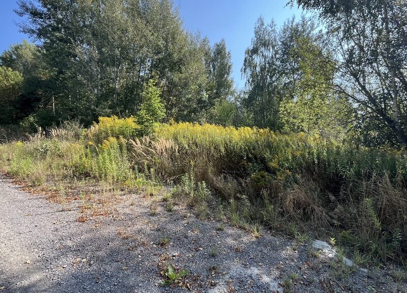 Działka budowlana 0.26 ha w gm. Niemce pow. Lublin - NIEMCE, LUBELSKIE na SPRZEDAŻ